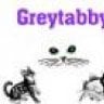 Greytabby