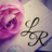 Lavender_Rose